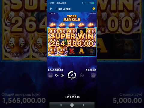 Mostbet 13 Onlayn Kazino Oynamaq Üçün Tam Bələdçi və Bonuslar